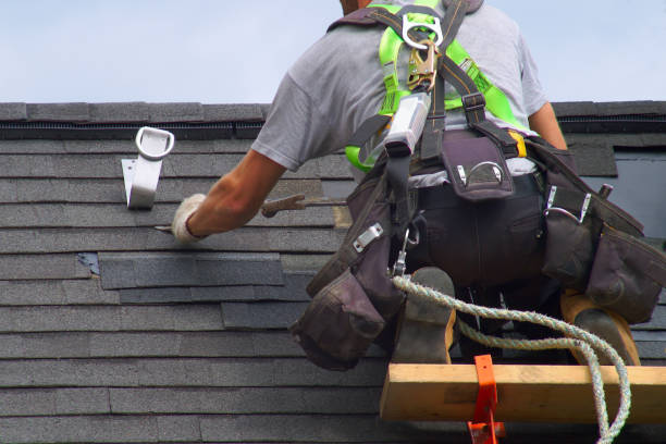 Best Roof Gutter Cleaning  in Ely, IA