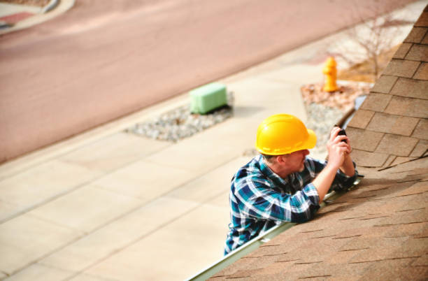 Best Storm Damage Roof Repair  in Ely, IA